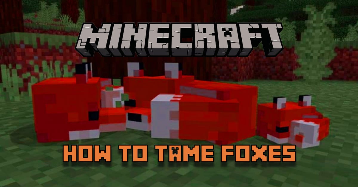 minecraft how to tame foxes spawn breed