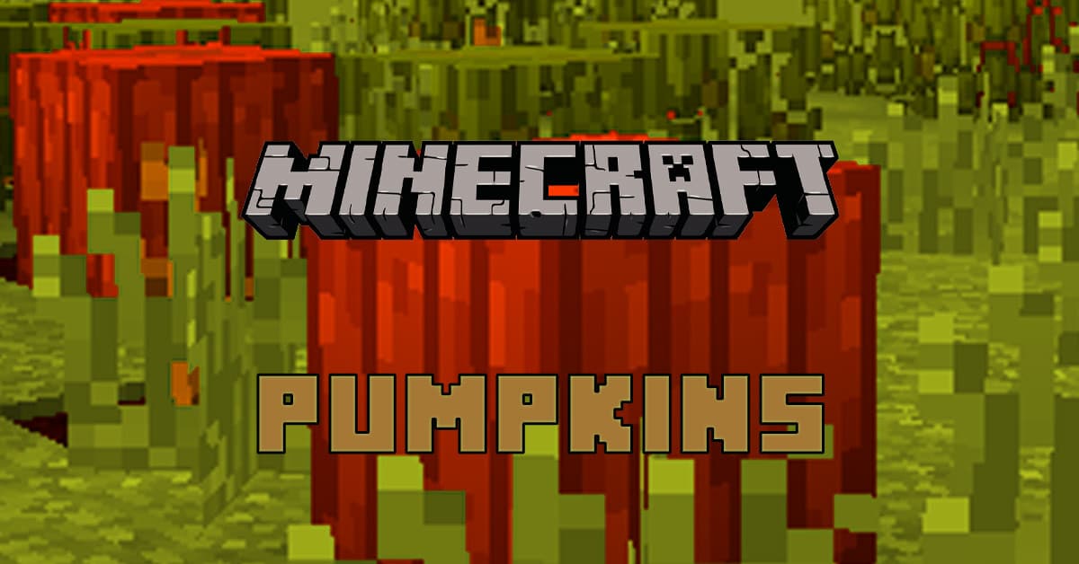 MineCraft pumpkins