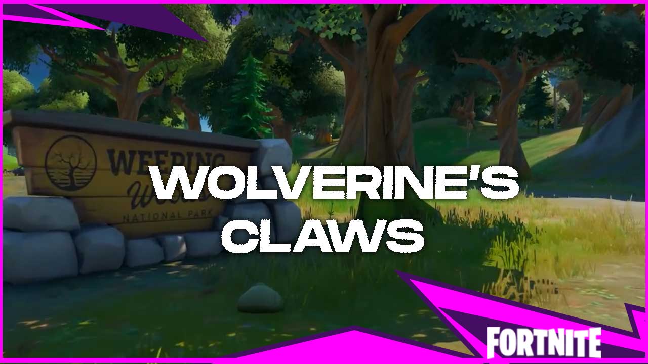 Wolverines Claws