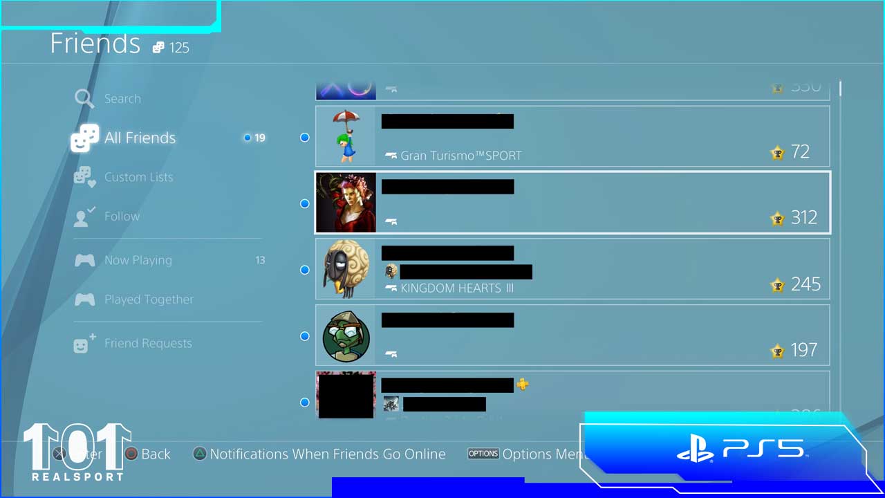 ps5 playstation network icon